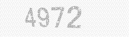 Visual security code — type the characters shown in the image