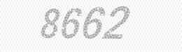 Visual security code — type the characters shown in the image